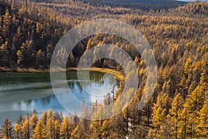 Hump Ã¢â¬â¹Ã¢â¬â¹Ridge Mare at Arshaan